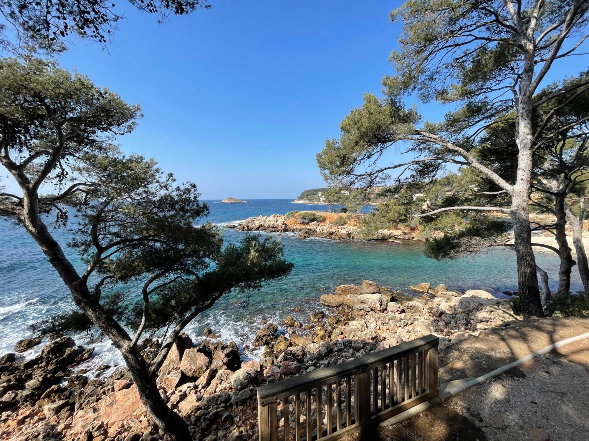 Appartement T3 Terrasse Vue Mer Bandol Eksteriør billede